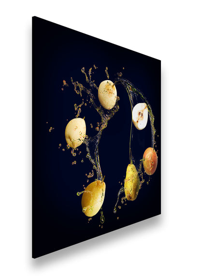 Hauptbild Farbig Quadratisch