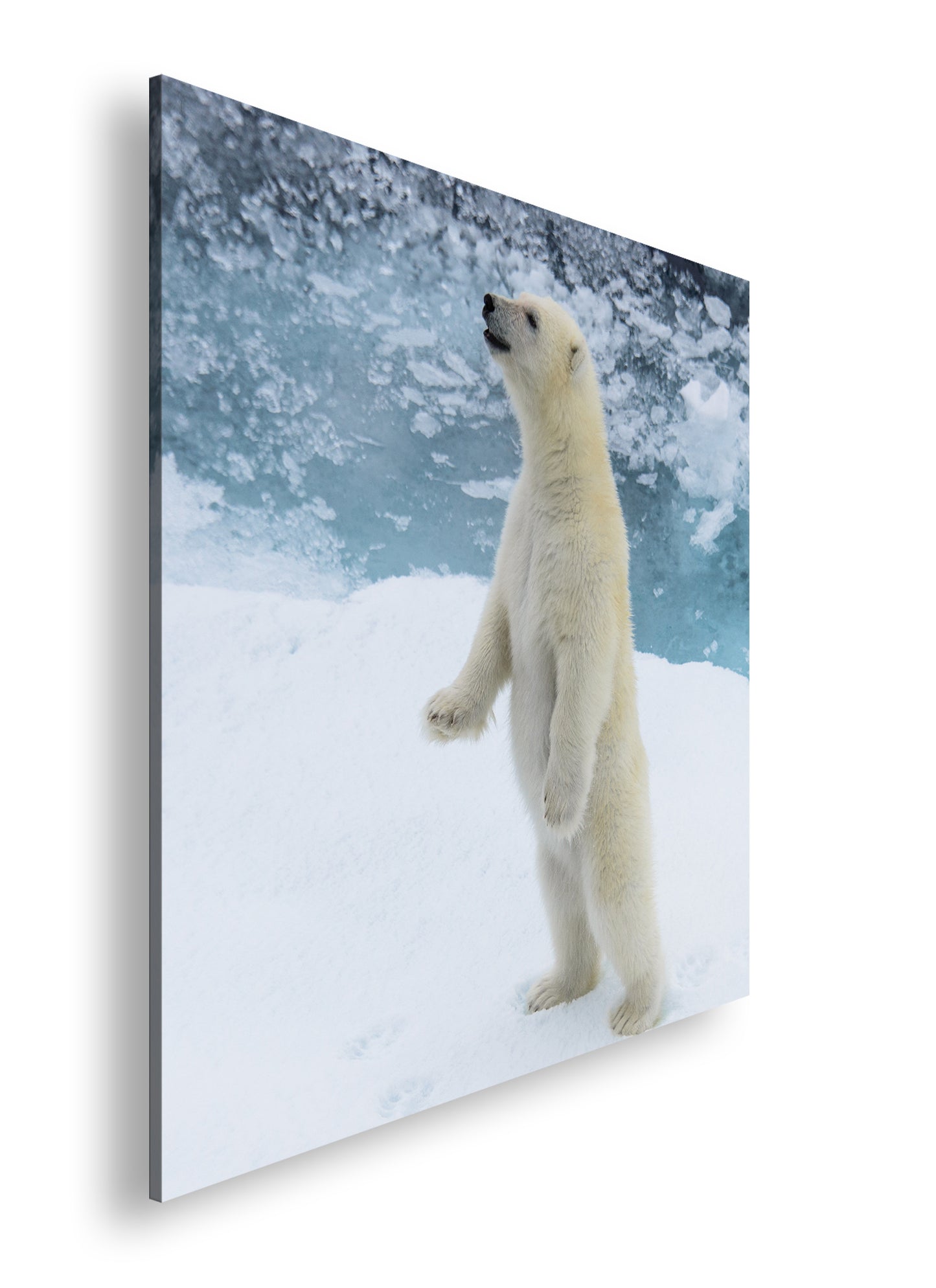 Hauptbild Farbig Quadratisch