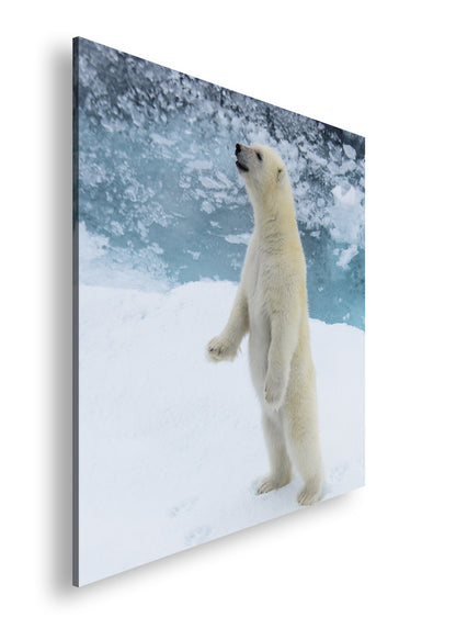 Hauptbild Farbig Quadratisch