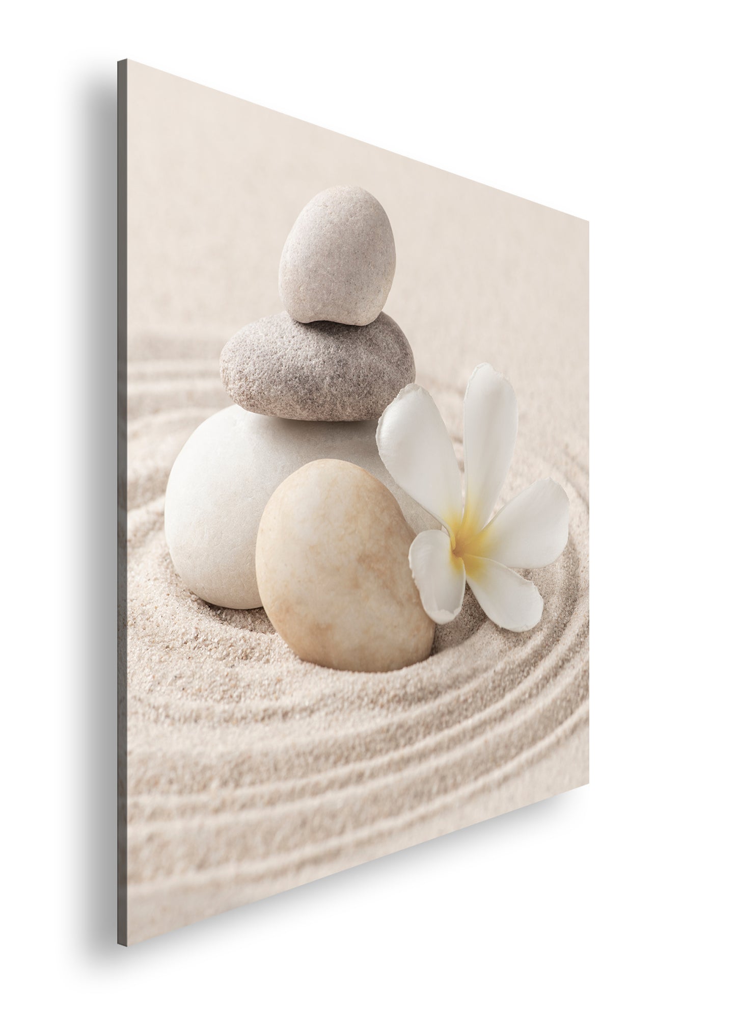 Hauptbild Farbig Quadratisch