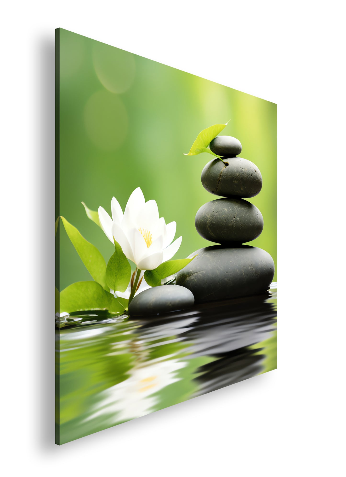 Hauptbild Farbig Quadratisch