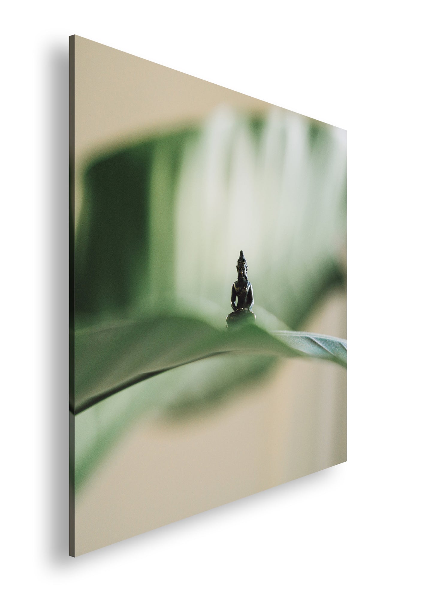 Hauptbild Farbig Quadratisch