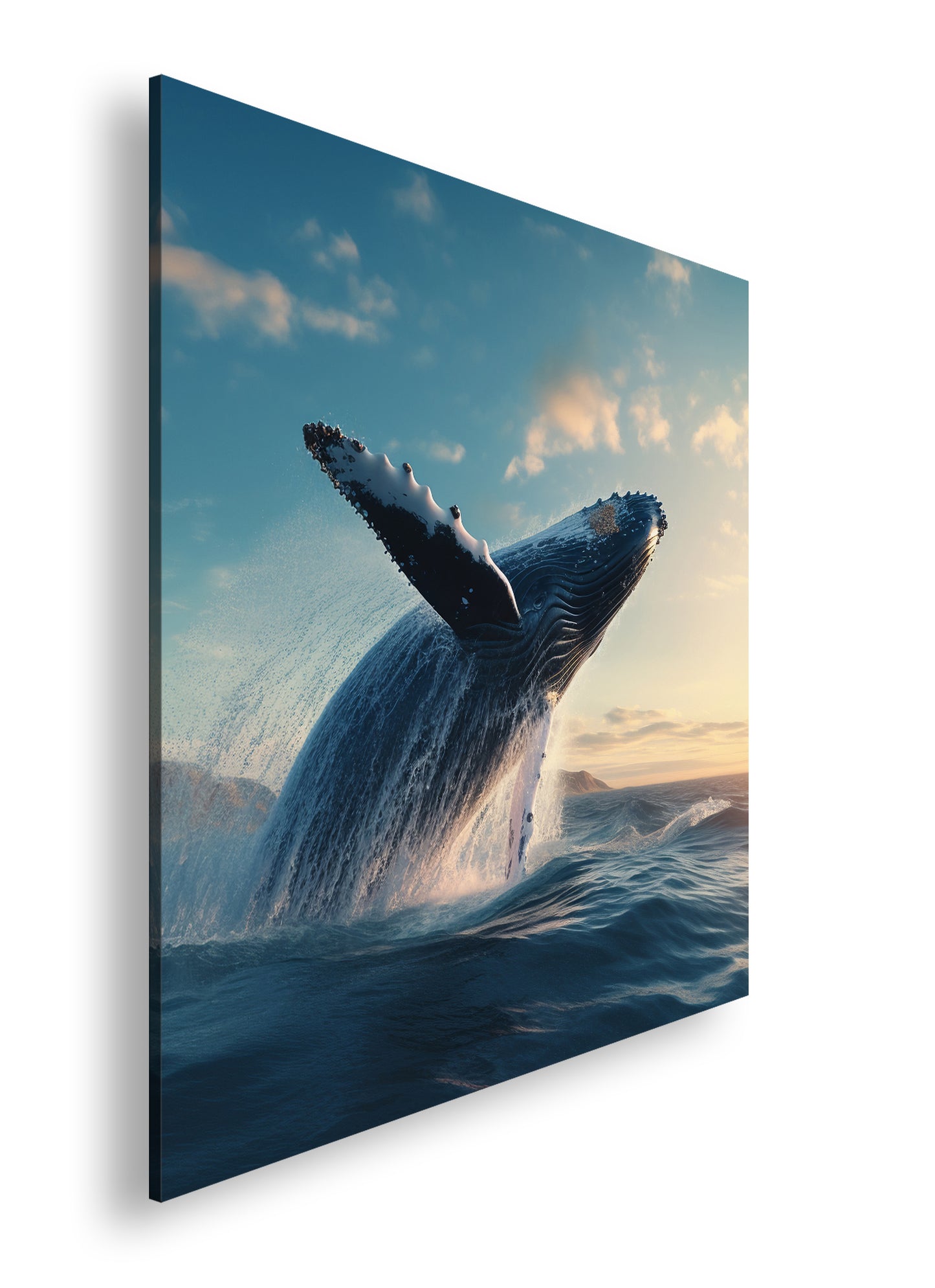 Hauptbild Farbig Quadratisch