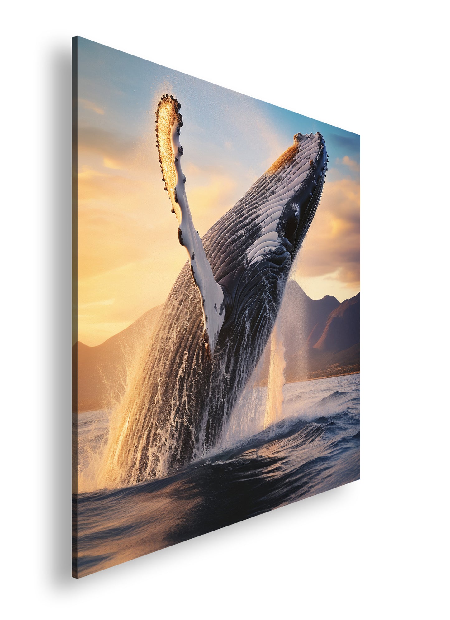 Hauptbild Farbig Quadratisch