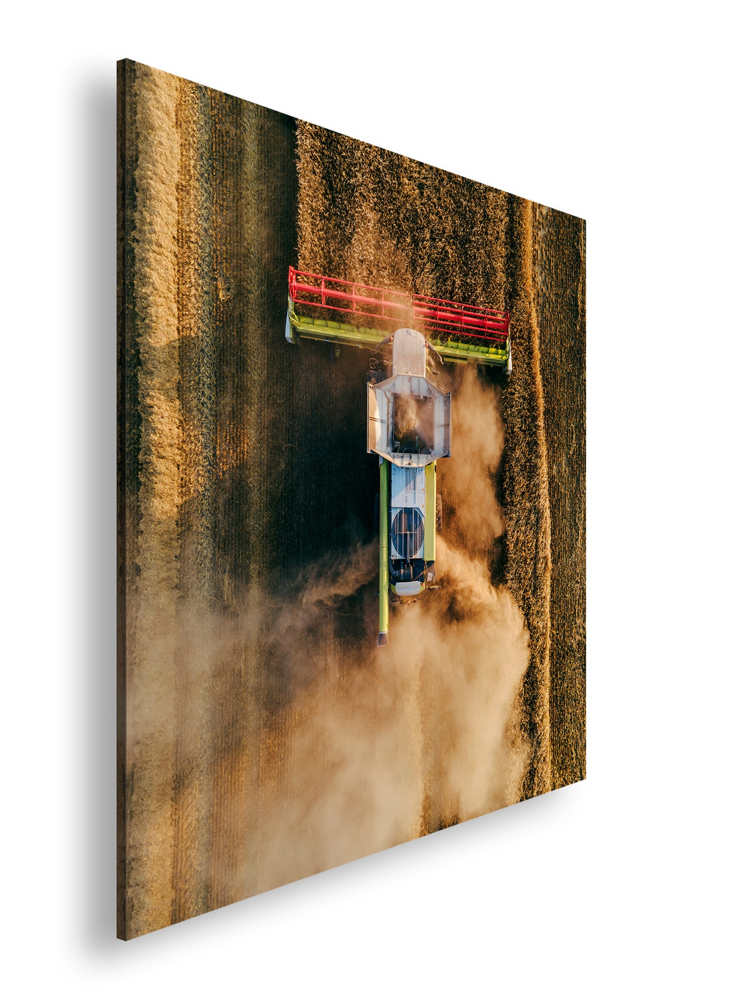 Hauptbild Farbig Quadratisch