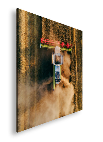 Hauptbild Farbig Quadratisch