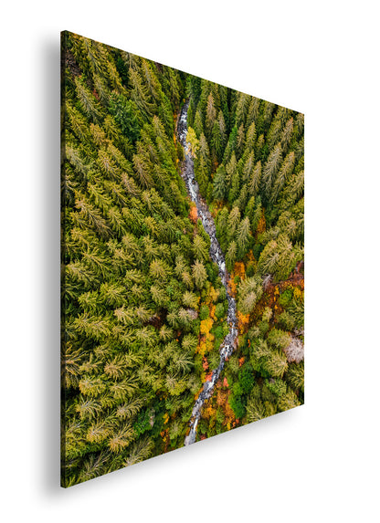 Hauptbild Farbig Quadratisch