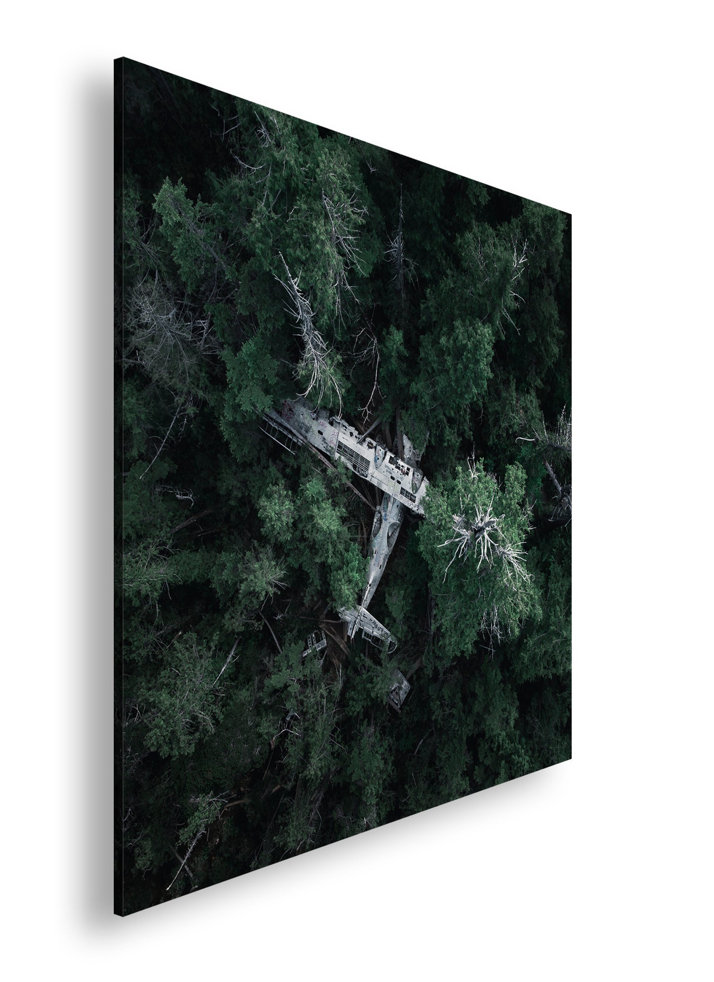 Hauptbild Farbig Quadratisch