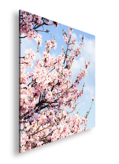 Hauptbild Farbig Quadratisch