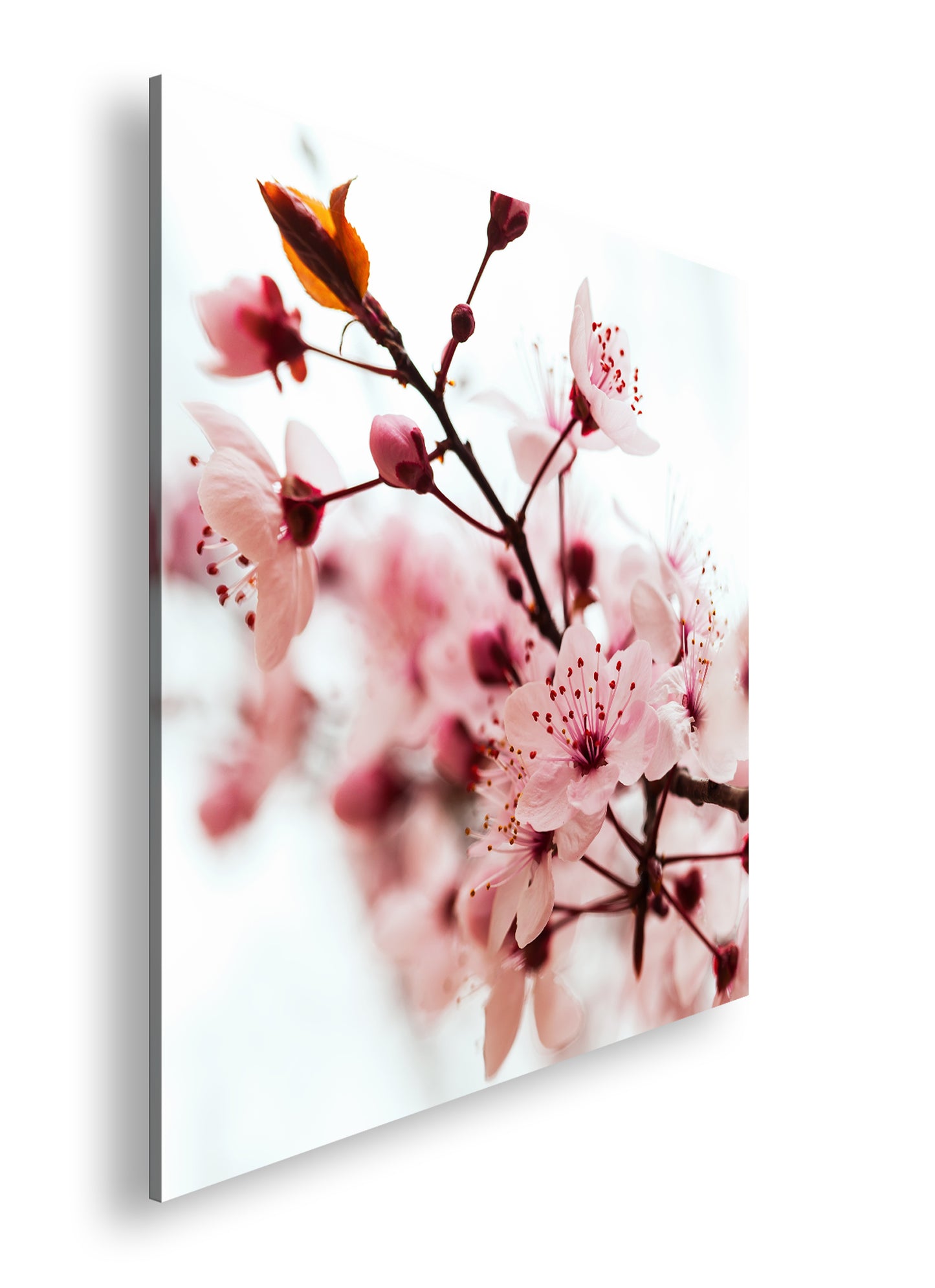 Hauptbild Farbig Quadratisch