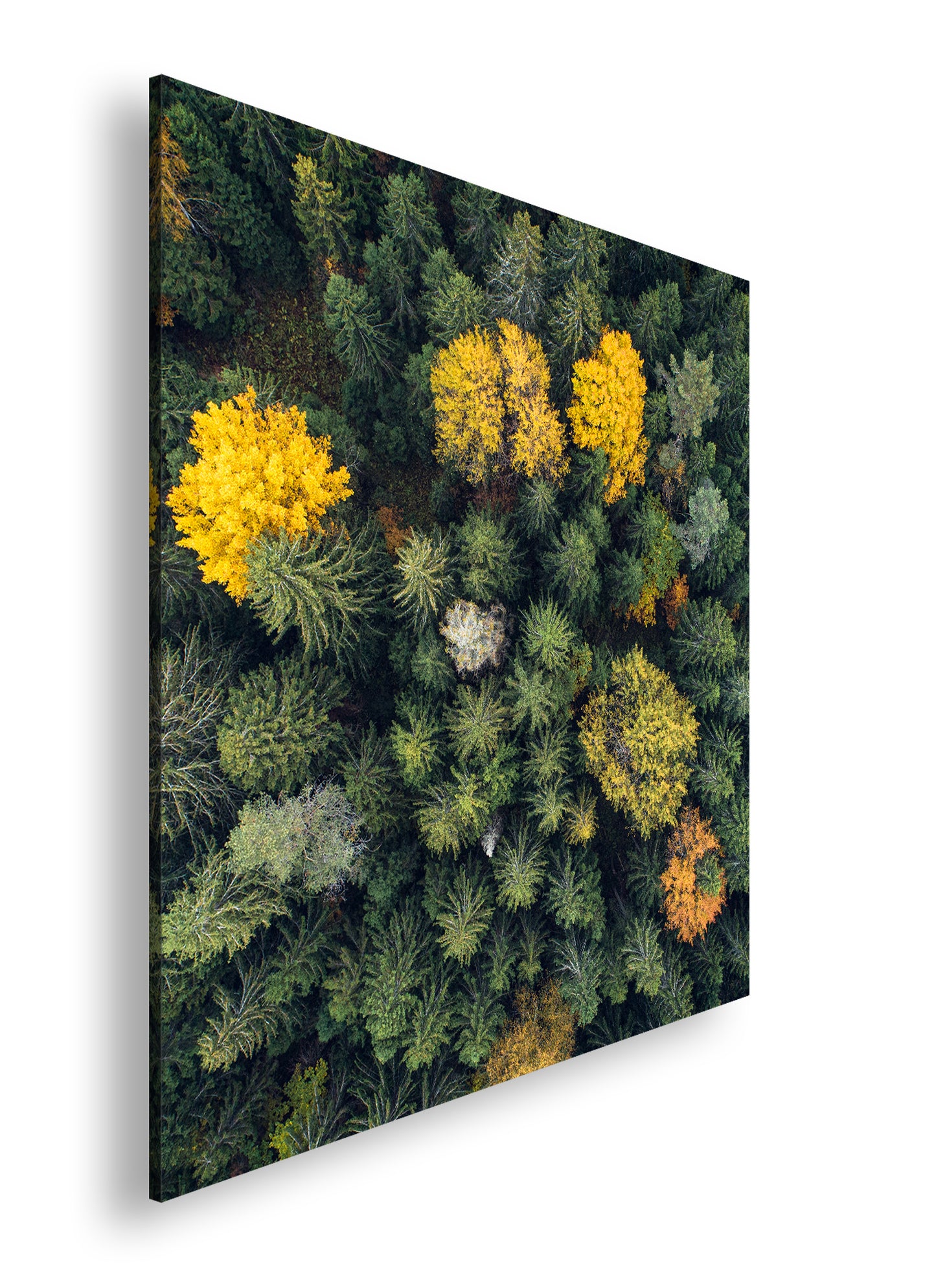 Hauptbild Farbig Quadratisch