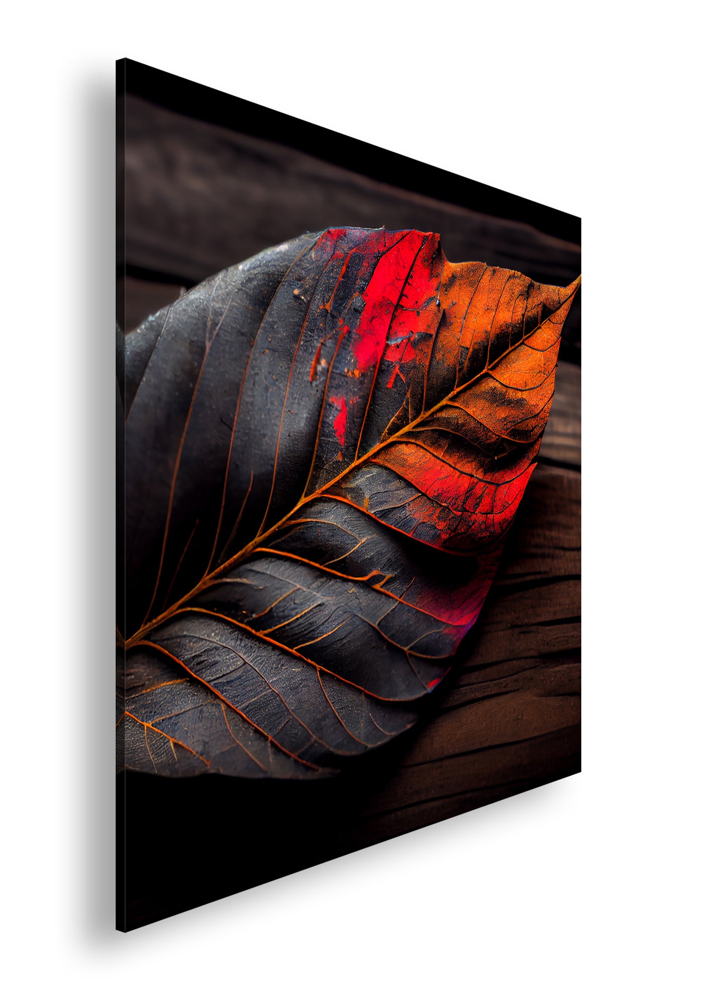 Hauptbild Farbig Quadratisch