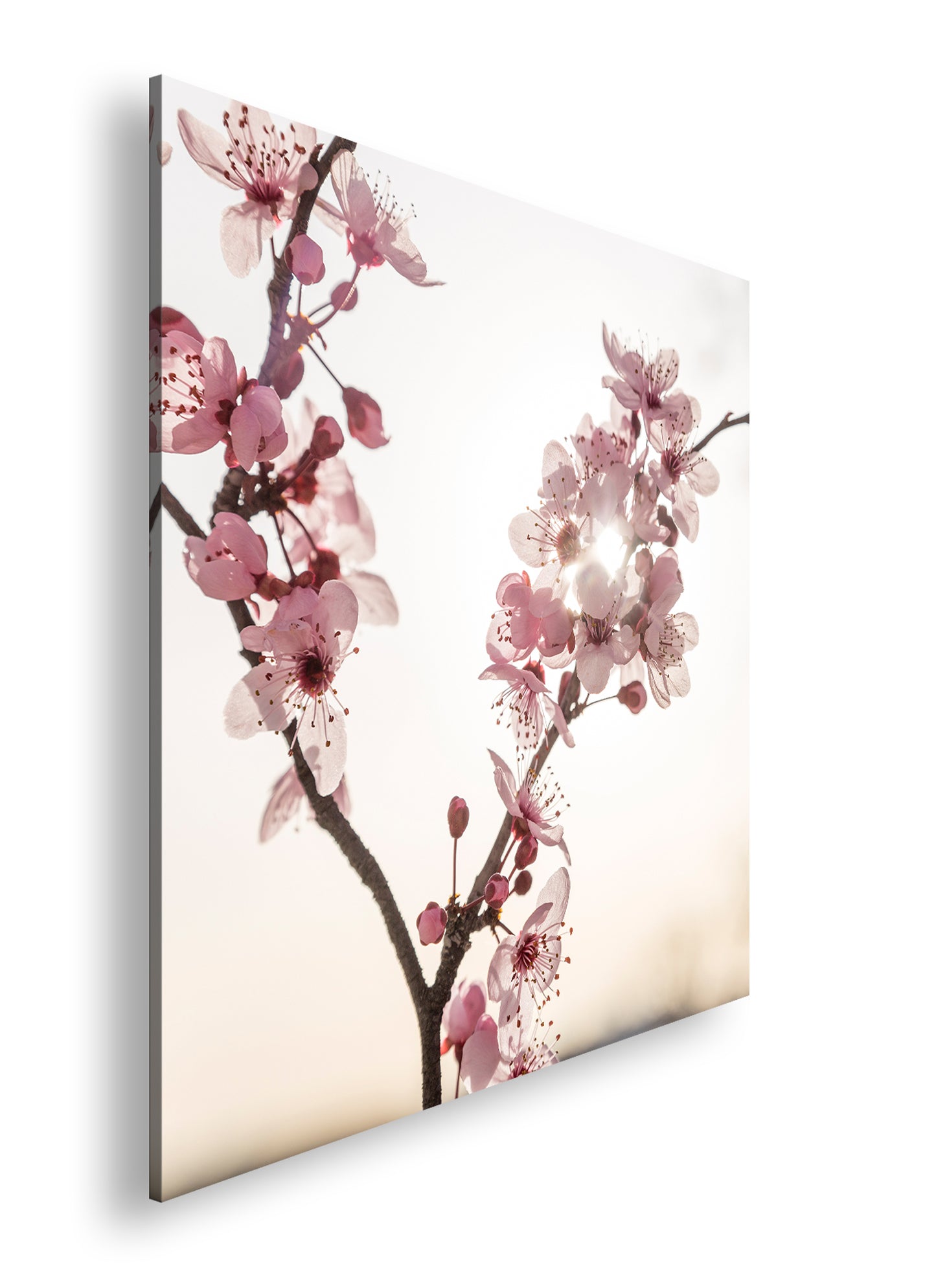 Hauptbild Farbig Quadratisch