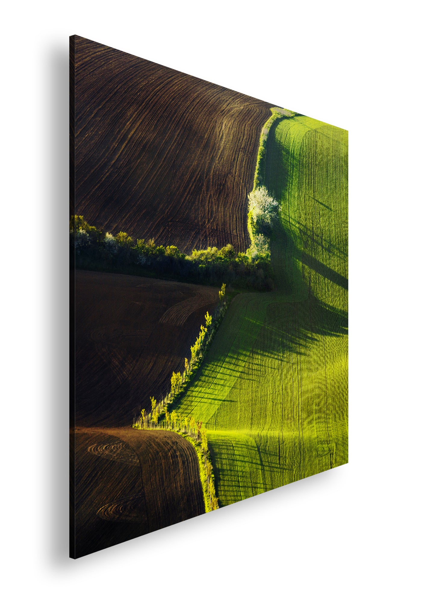 Hauptbild Farbig Quadratisch