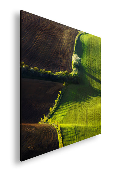 Hauptbild Farbig Quadratisch