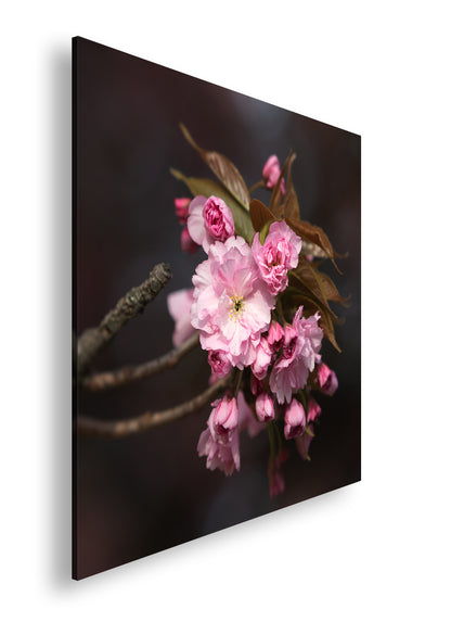 Hauptbild Farbig Quadratisch