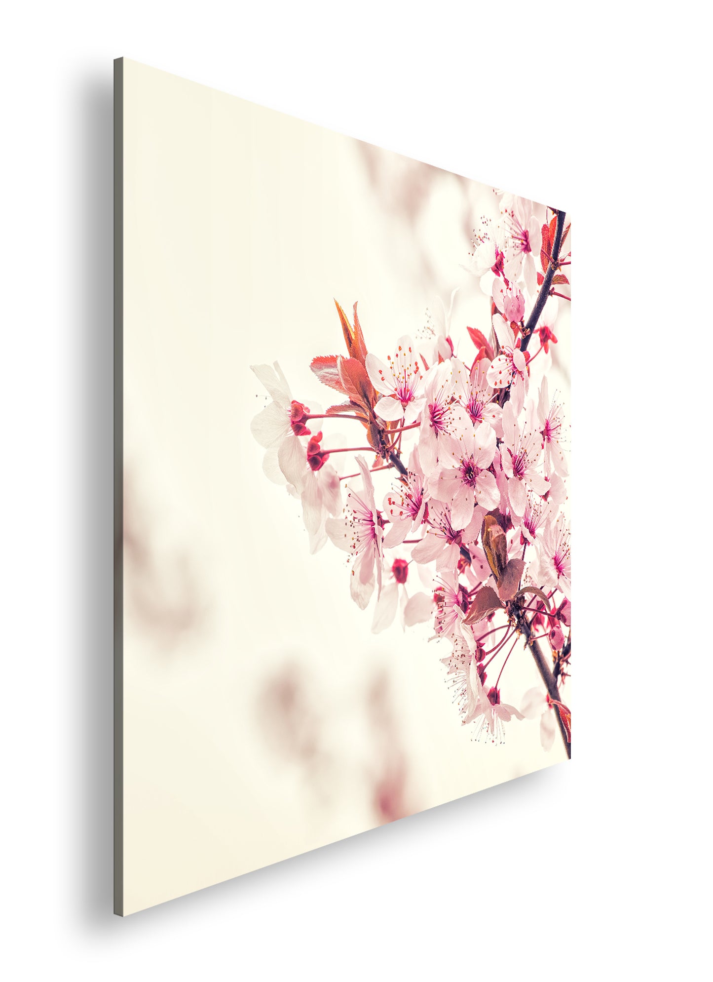 Hauptbild Farbig Quadratisch