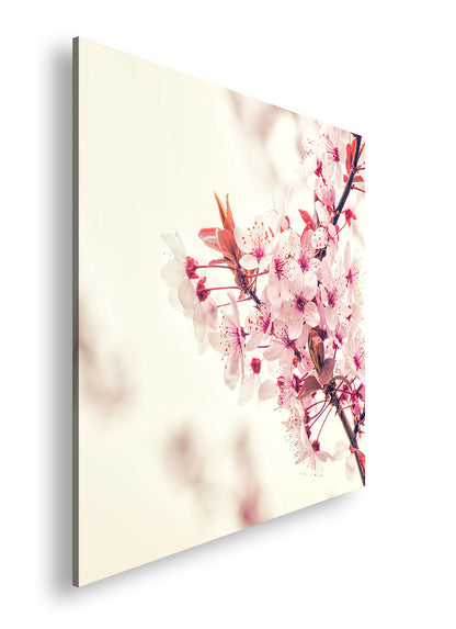 Hauptbild Farbig Quadratisch