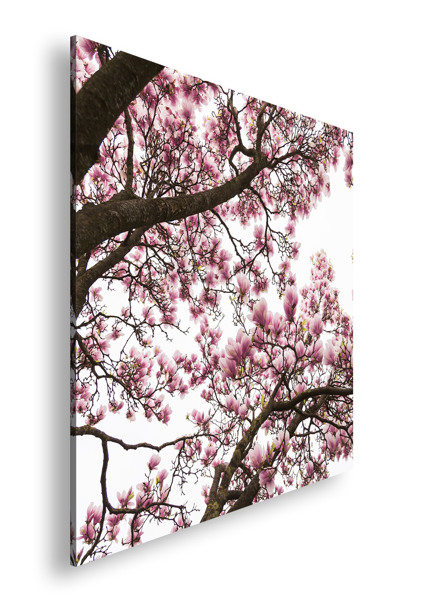 Hauptbild Farbig Quadratisch