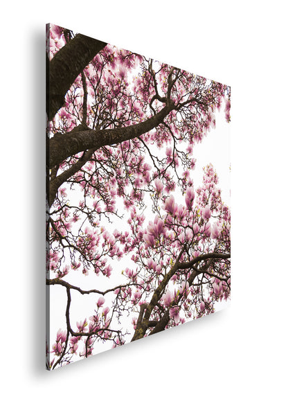 Hauptbild Farbig Quadratisch