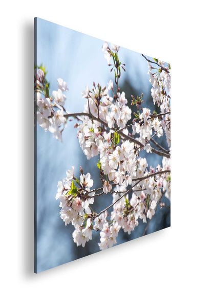 Hauptbild Farbig Quadratisch