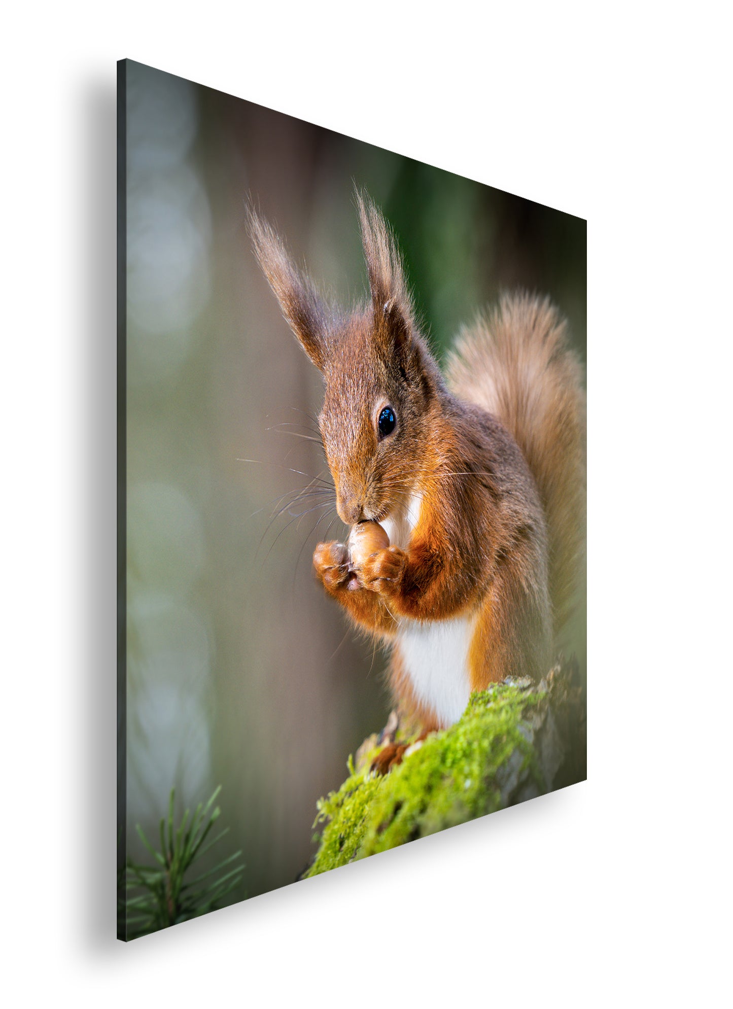 Hauptbild Farbig Quadratisch