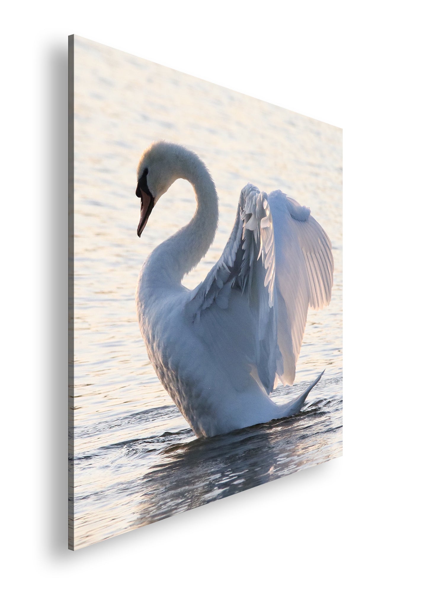 Hauptbild Farbig Quadratisch