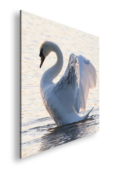 Hauptbild Farbig Quadratisch