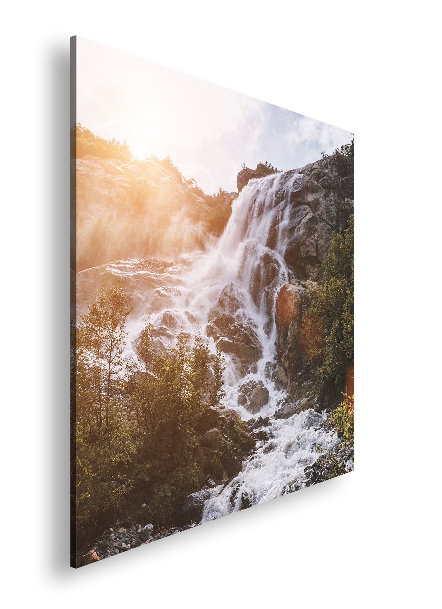 Hauptbild Farbig Quadratisch