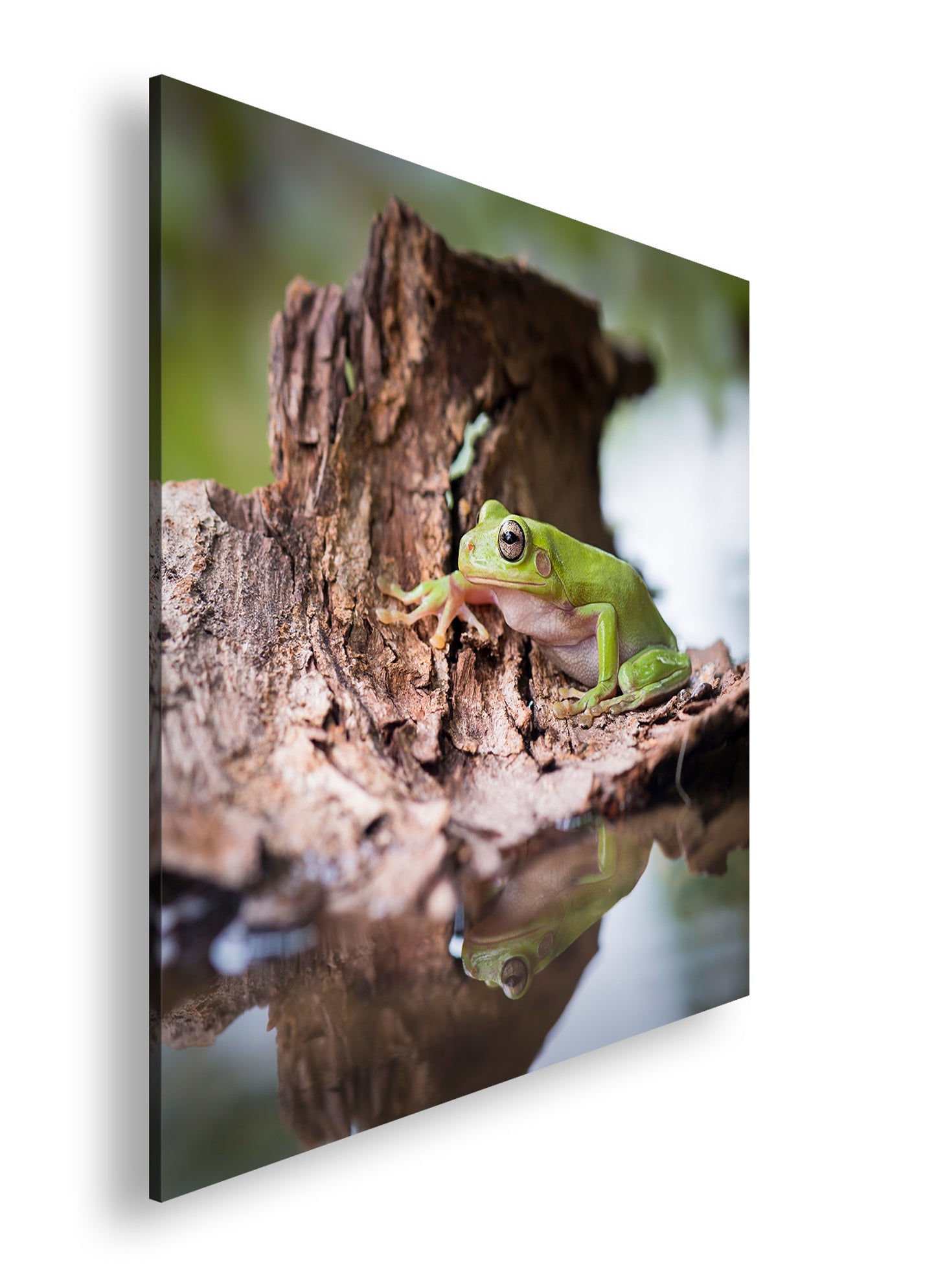 Hauptbild Farbig Quadratisch