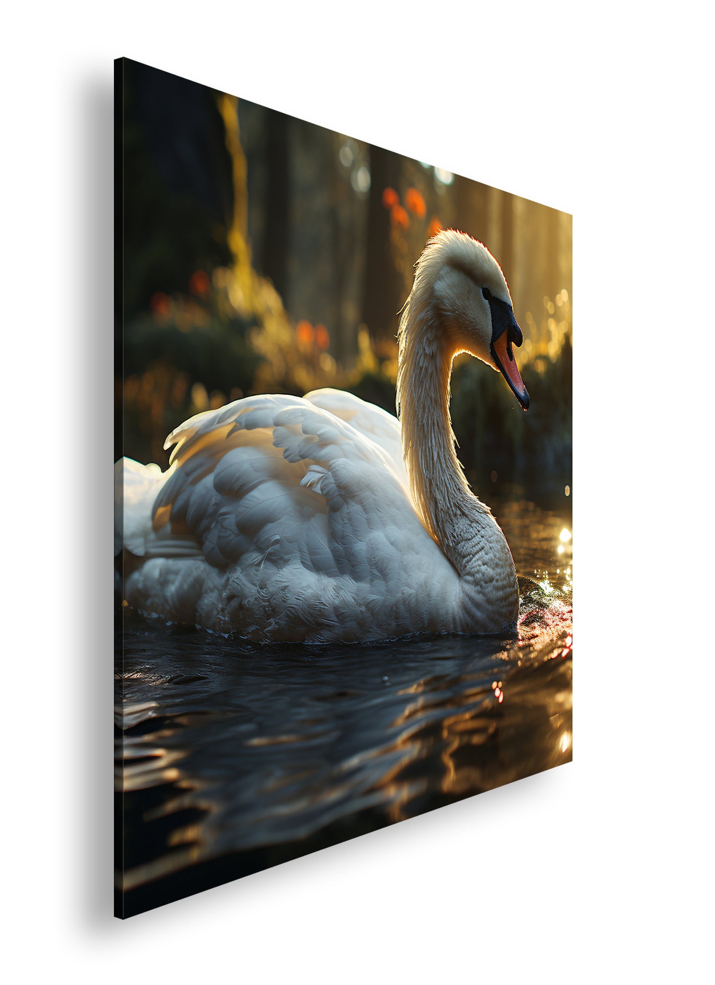 Hauptbild Farbig Quadratisch