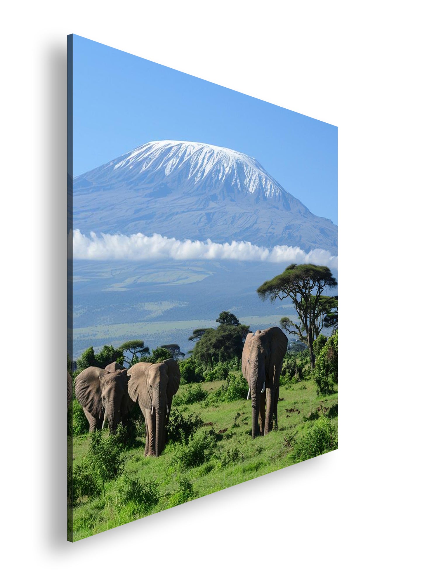 Hauptbild Farbig Quadratisch