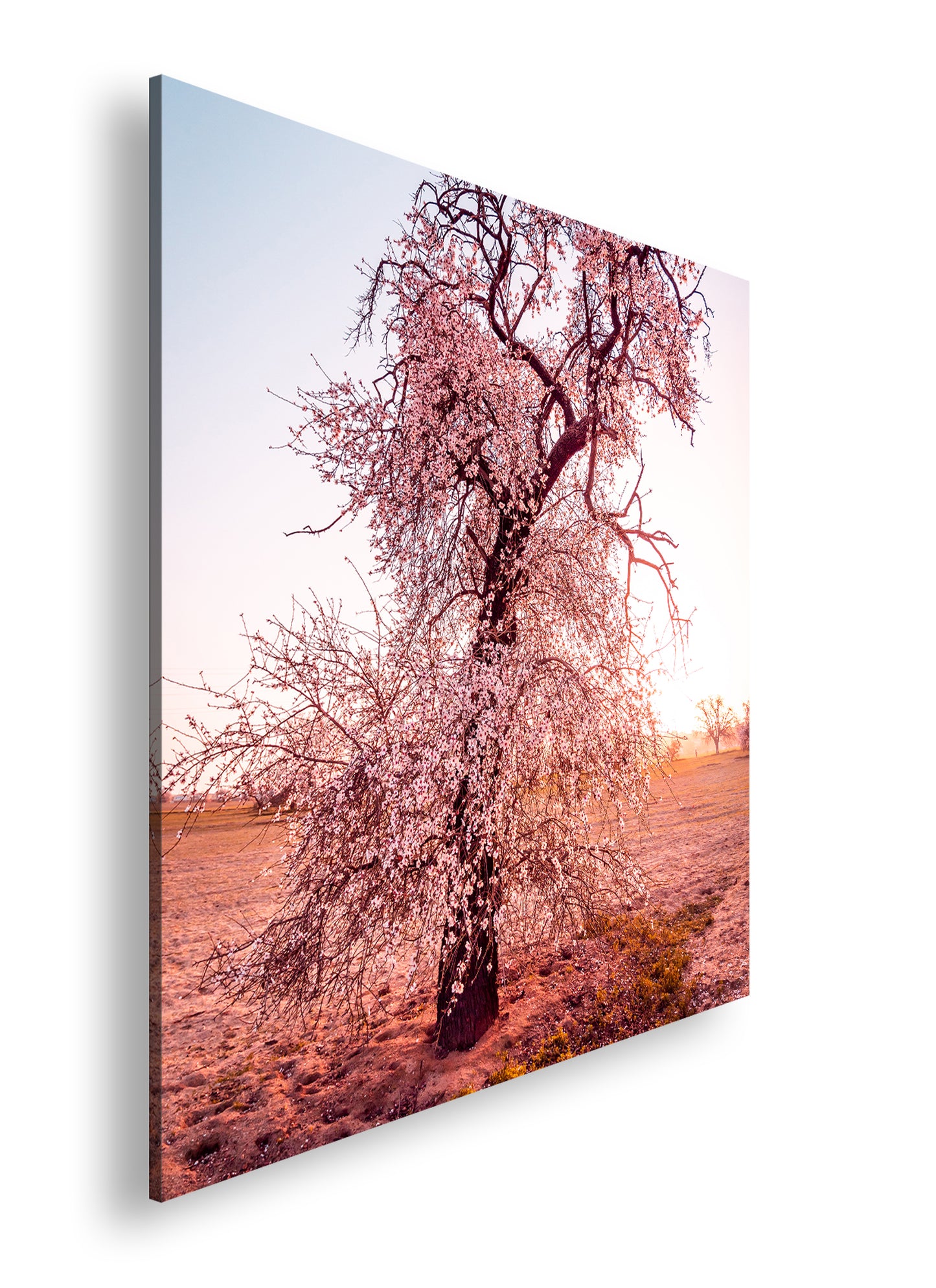 Hauptbild Farbig Quadratisch