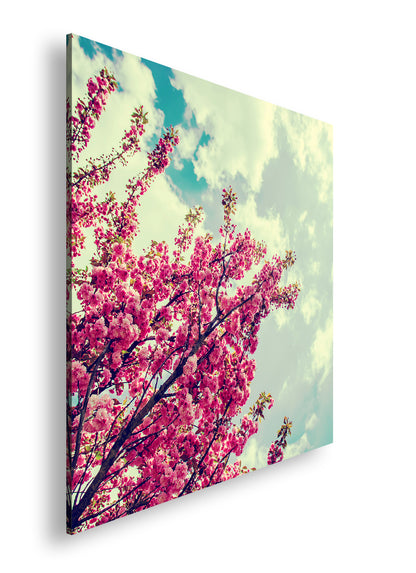 Hauptbild Farbig Quadratisch