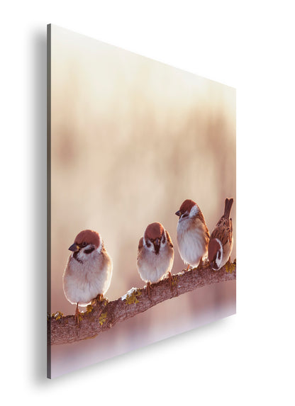 Hauptbild Farbig Quadratisch