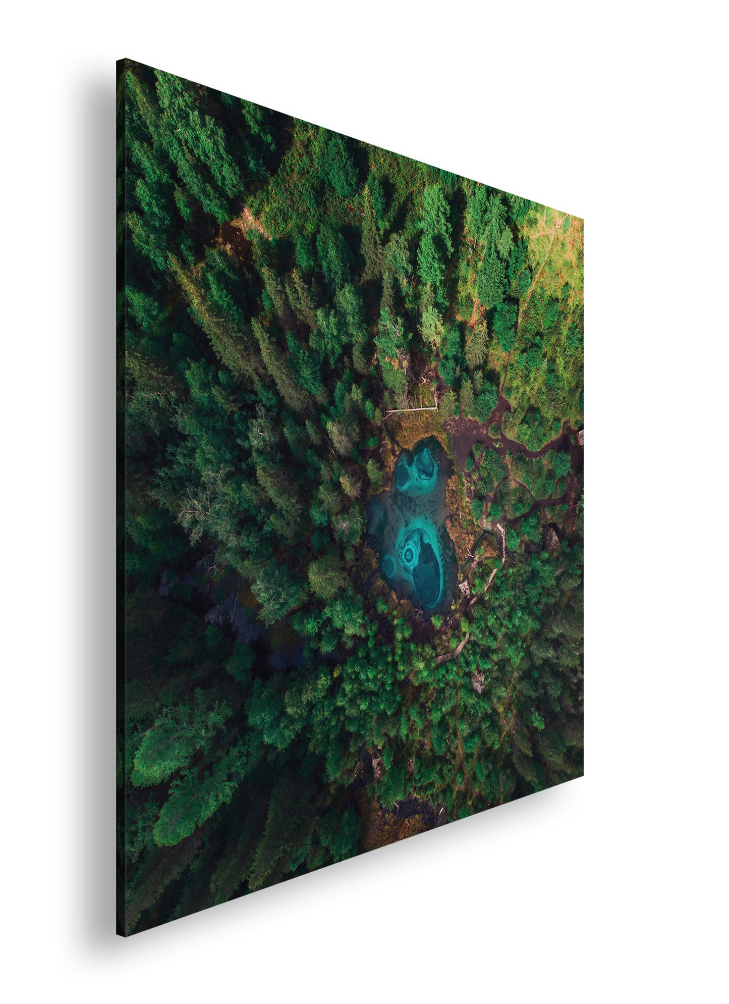 Hauptbild Farbig Quadratisch