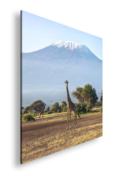 Hauptbild Farbig Quadratisch