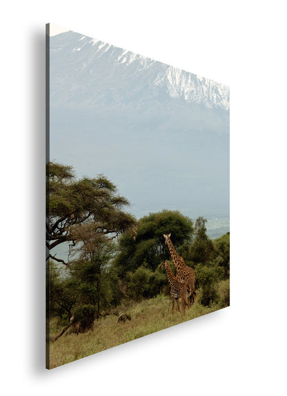 Hauptbild Farbig Quadratisch