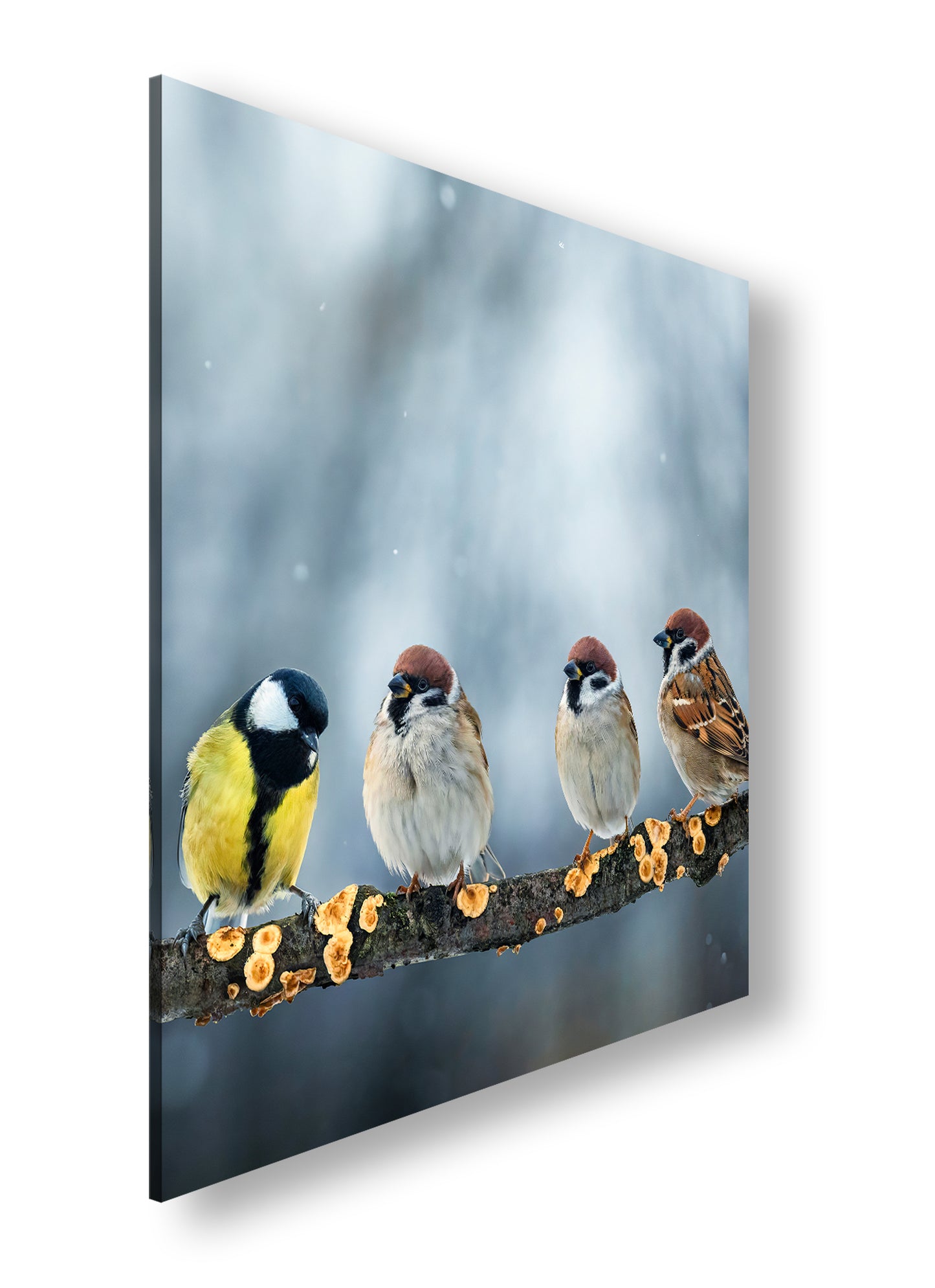 Hauptbild Farbig Quadratisch