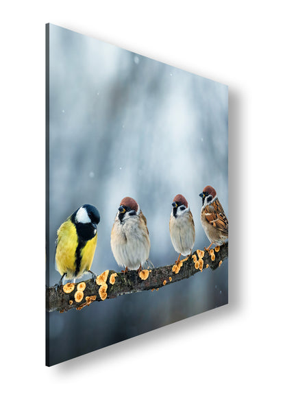 Hauptbild Farbig Quadratisch