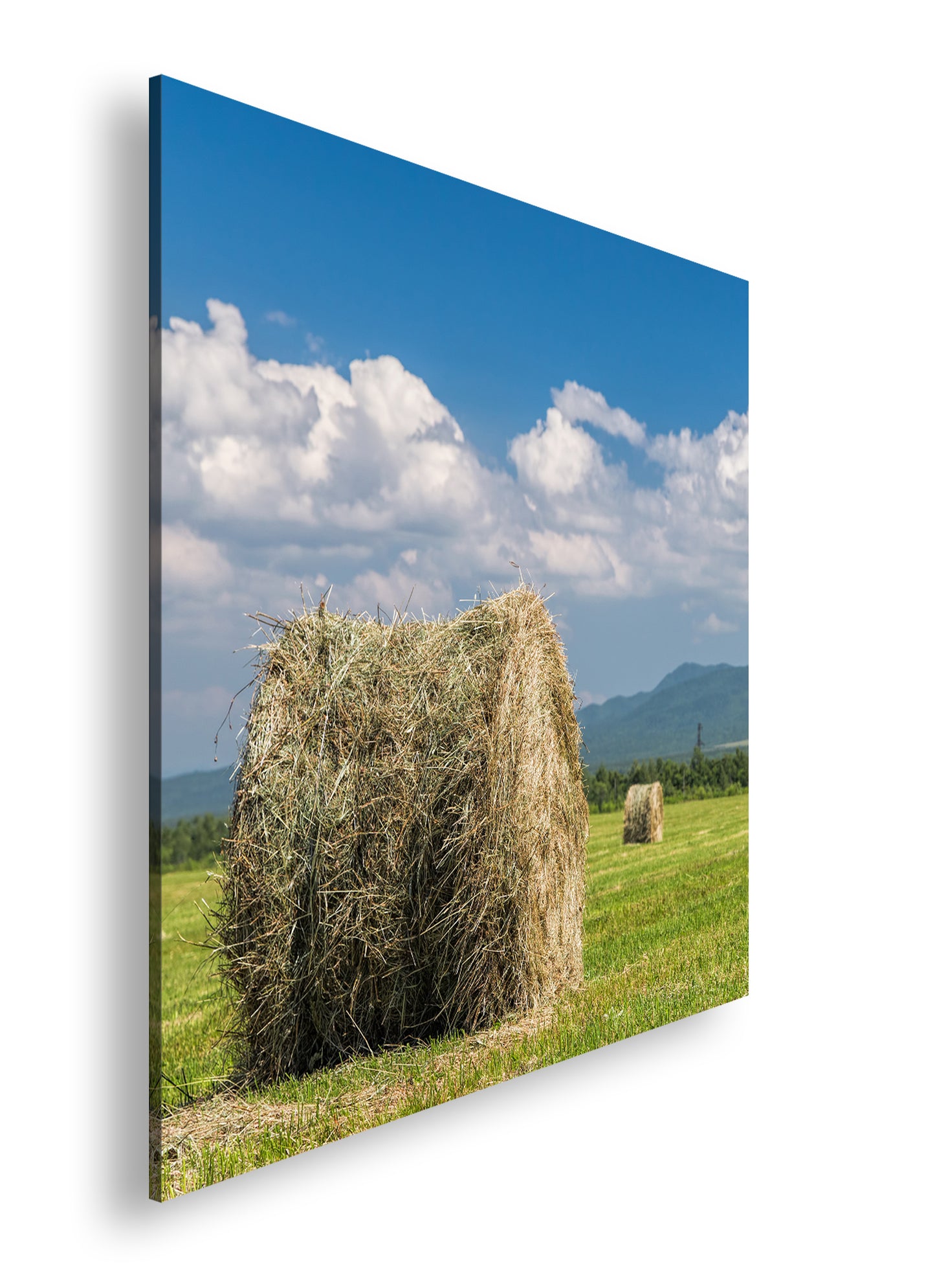 Hauptbild Farbig Quadratisch