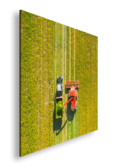 Hauptbild Farbig Quadratisch