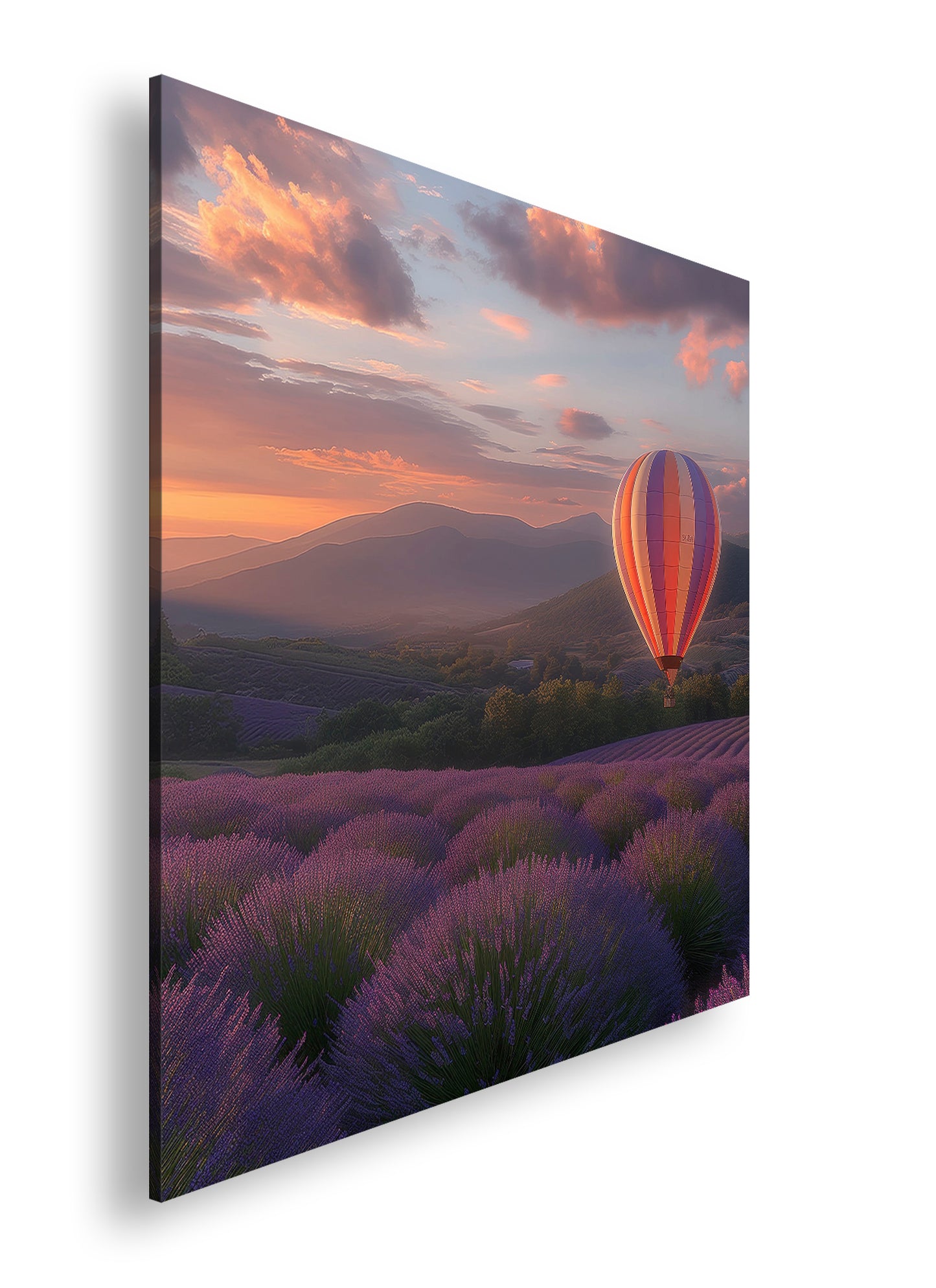 Hauptbild Farbig Quadratisch