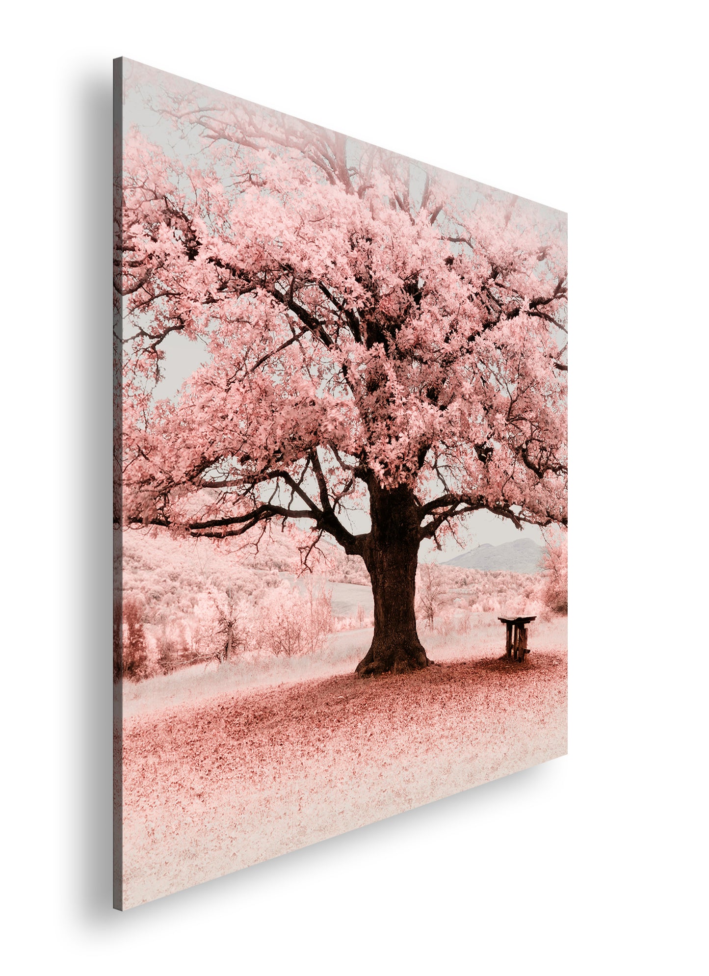 Hauptbild Farbig Quadratisch