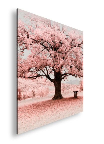 Hauptbild Farbig Quadratisch