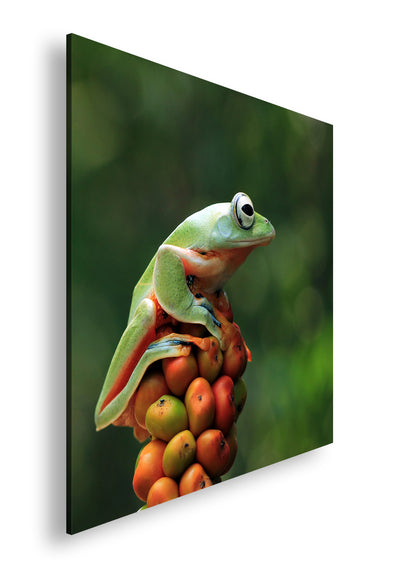 Hauptbild Farbig Quadratisch