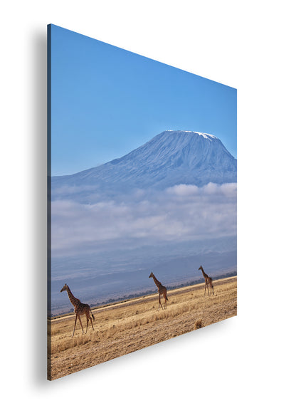 Hauptbild Farbig Quadratisch