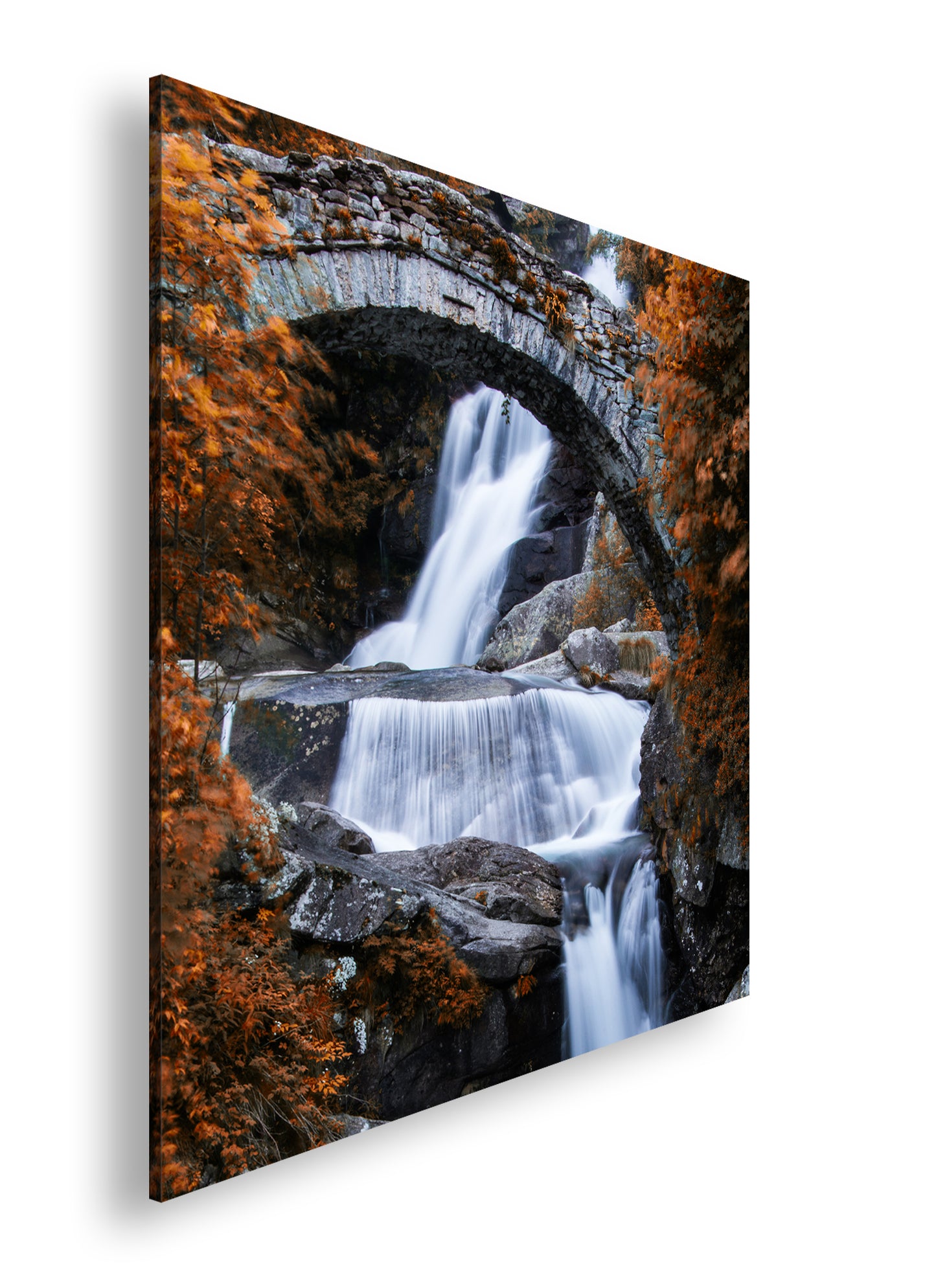 Hauptbild Farbig Quadratisch