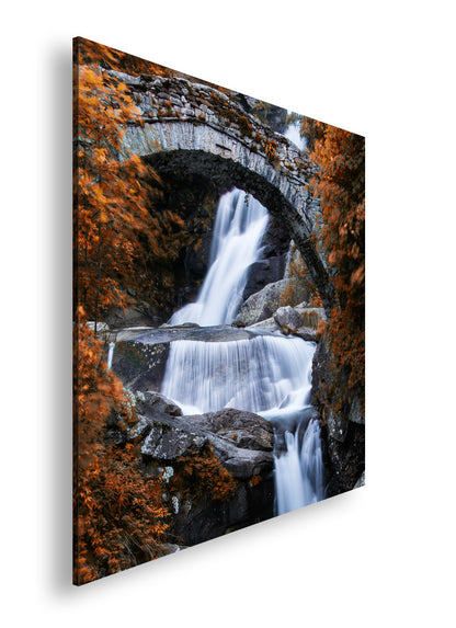 Hauptbild Farbig Quadratisch