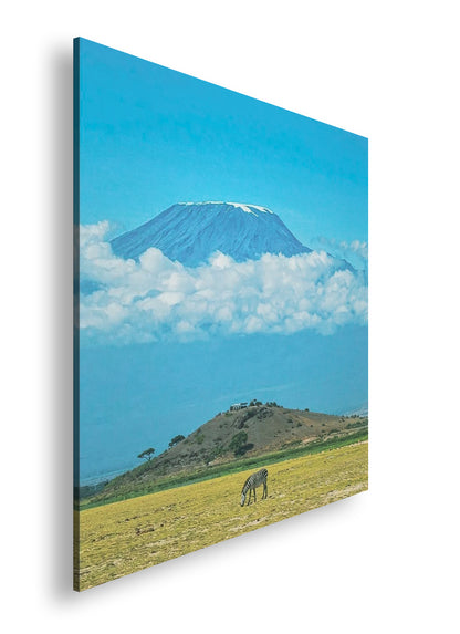 Hauptbild Farbig Quadratisch